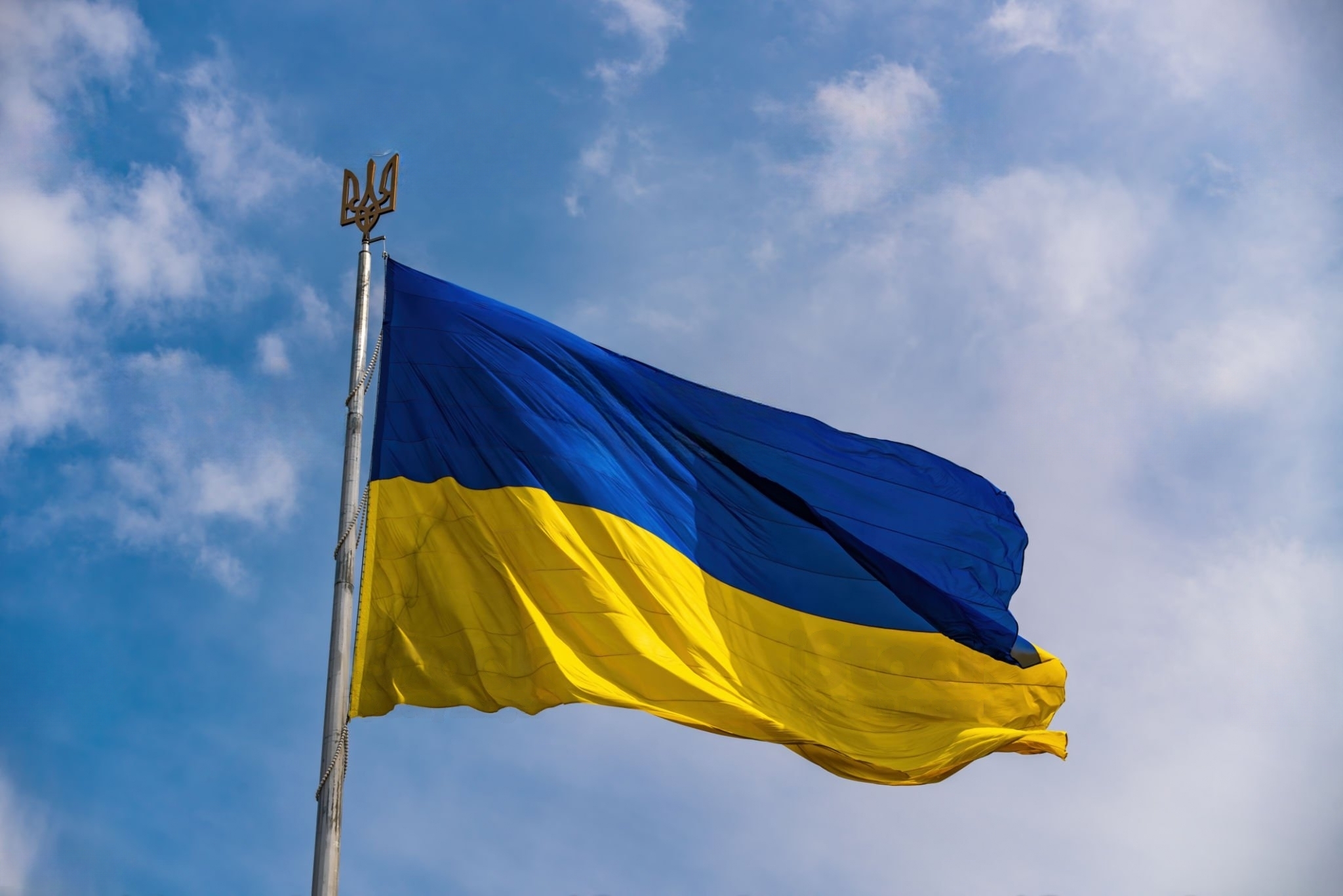 Президент НААН Ярослав Гадзало вітає з Днем Державного прапора